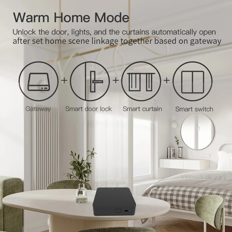 Работает с Tuya Smart Zigbee+  – обзор и цена Diy Home Automation Hub